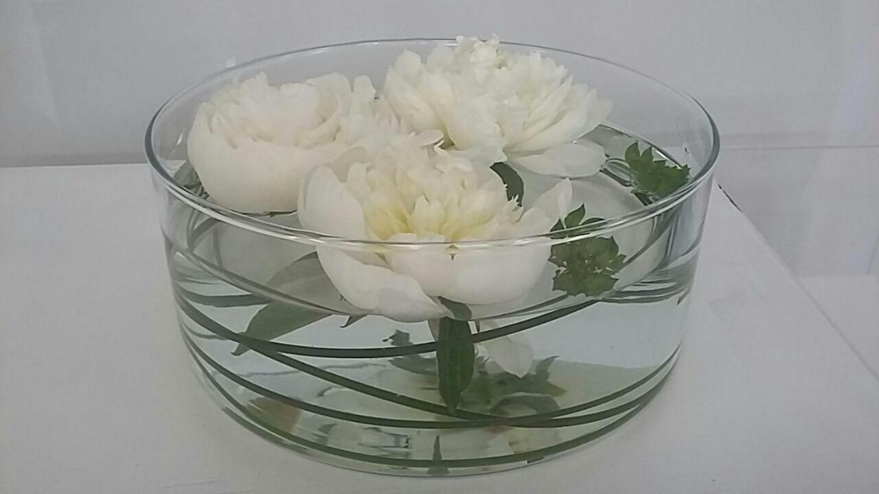 Apartamento Amami Alfredo *